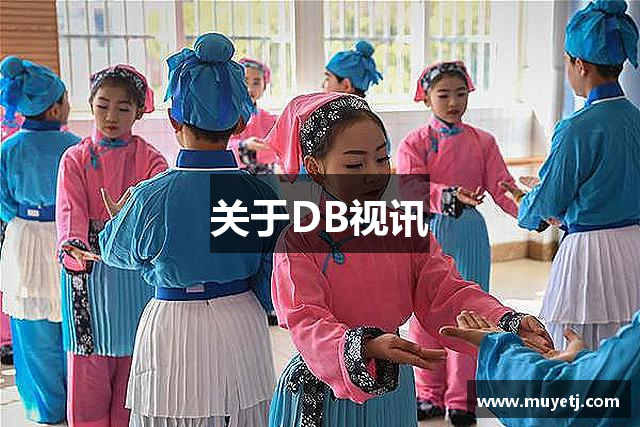 关于DB视讯